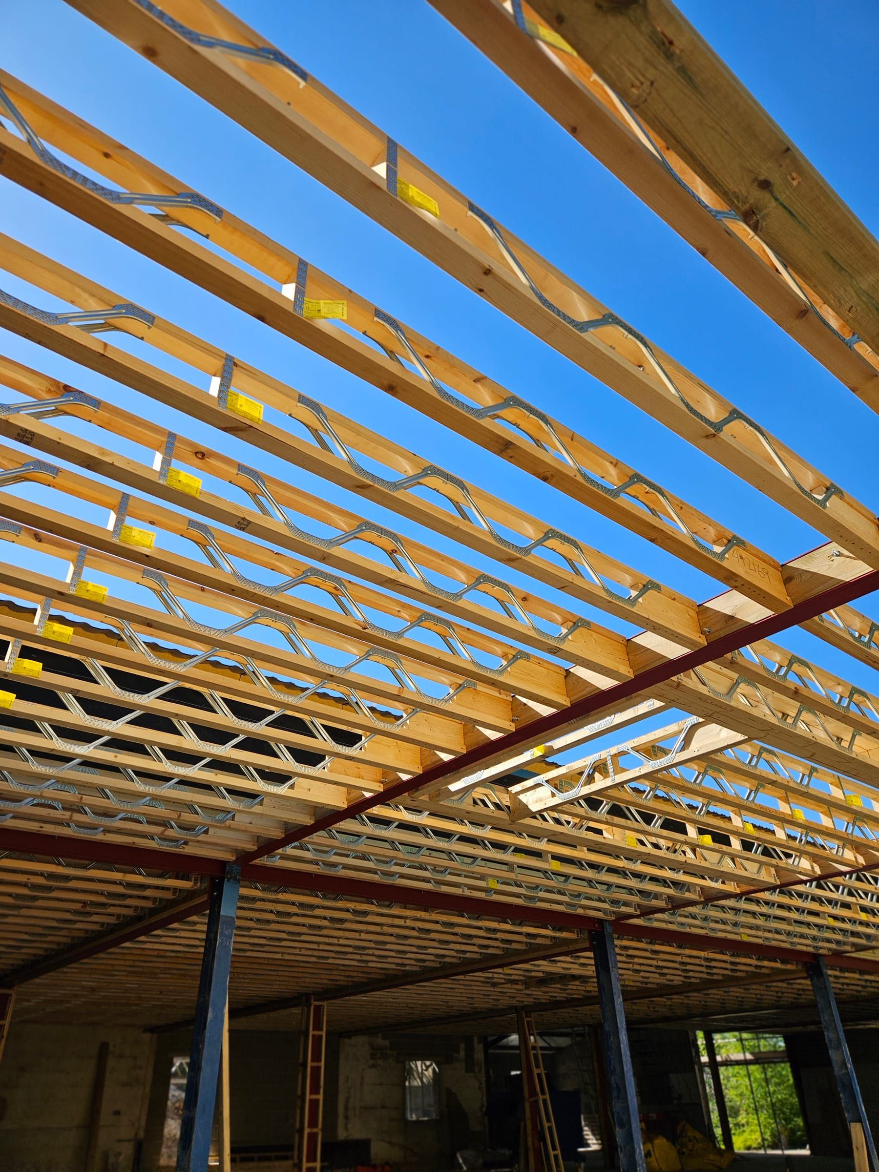 Timber roof trusses and joists exposed during construction under blue sky